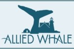 alliedwhale